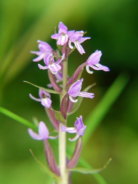 P1130373
