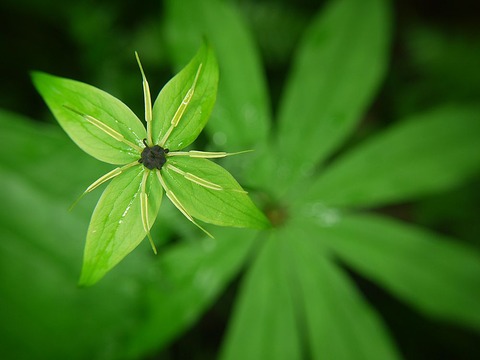 P1130436