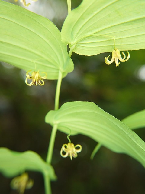 P1130386