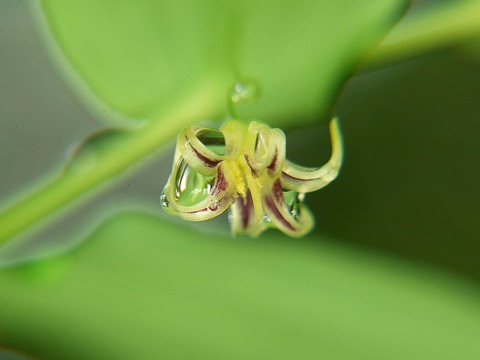 P1130393