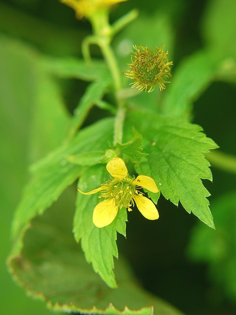 P1130428