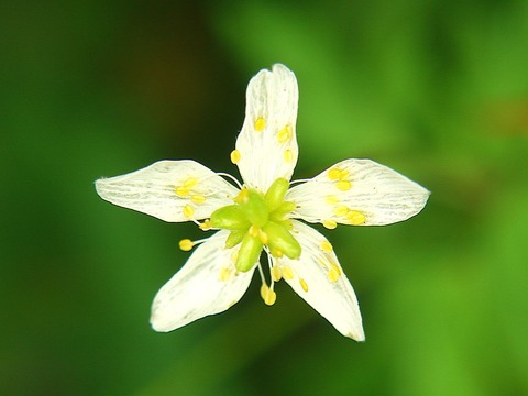 P1130430