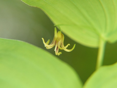 P1130382