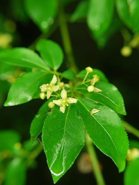 P1130422
