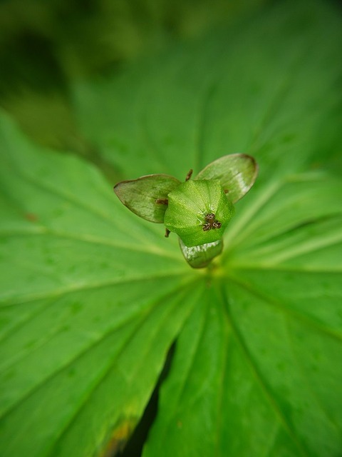 P1130389