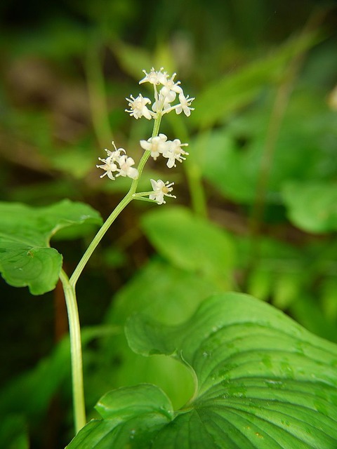 P1130377