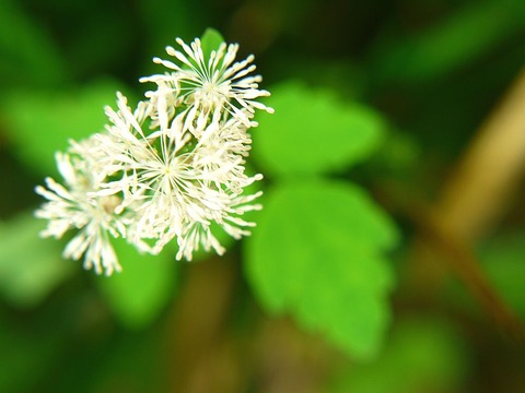 P1130404