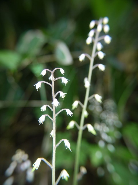P1130403