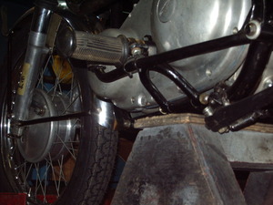 IMGP1807