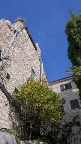 P1160698