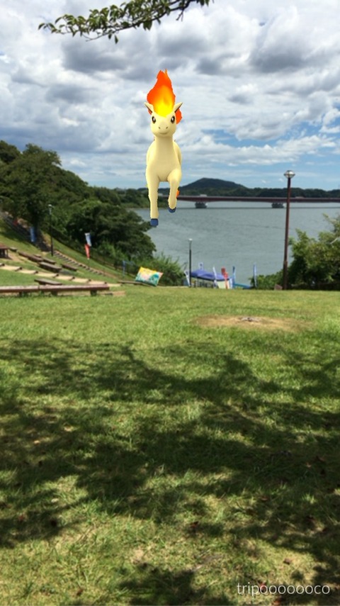 2016-08-20-12-01-49