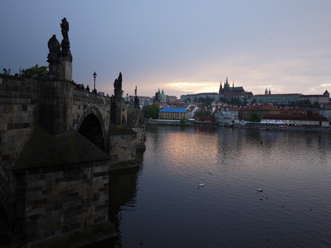P1110261