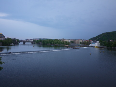 P1110266