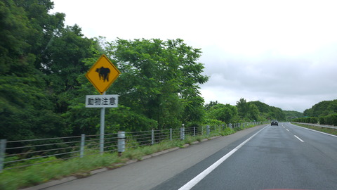 P1180587