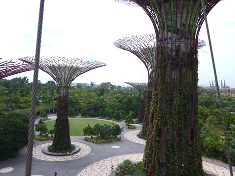 P1100167