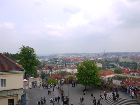 P1110486