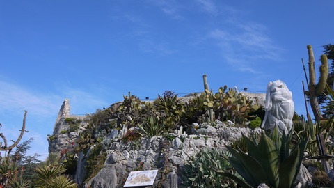 P1160643