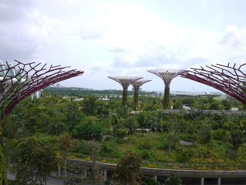 P1100166