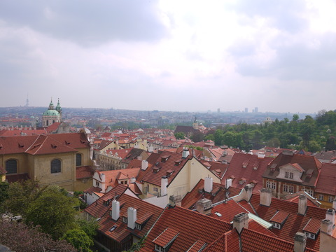 P1110411