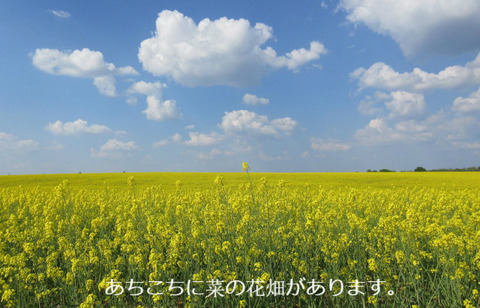 BlogPaint