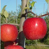 2859854e.jpg