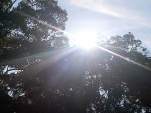 DSC_0057 (1)