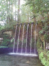 DVC00016