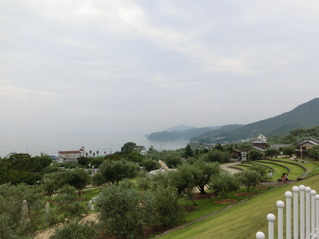 CIMG0321
