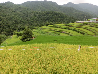 CIMG0314