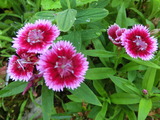 CIMG0192