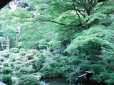 DVC00021