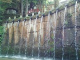 DVC00021