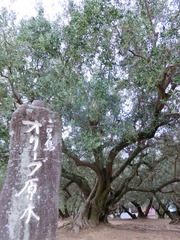 CIMG0319