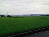 DVC00003
