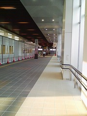 DVC00007