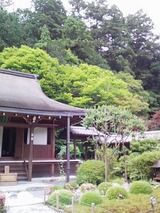 DVC00031