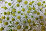 CIMG0061