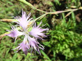 CIMG0193