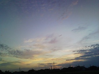 DVC00035
