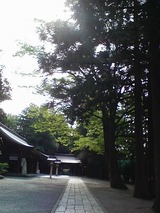 DVC00015