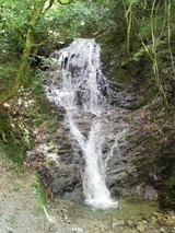 DVC00025