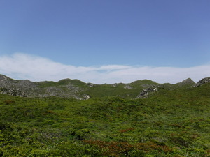 DSCF0078