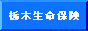 1322730483hTBJtvVS