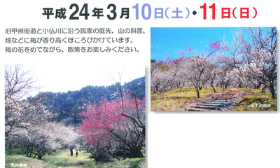 ume