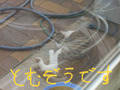 BlogPaint