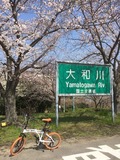 t_IMG_3574