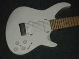 p-body