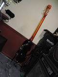 t_DSCN9225