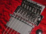 SCHECTER左gk