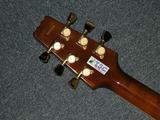 t_DSCN0996